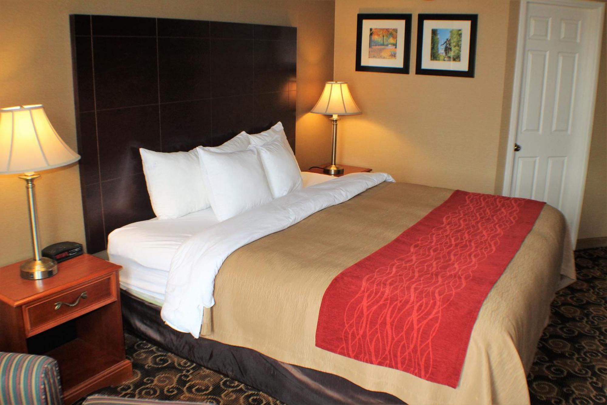 Comfort Inn Rockland - Boston Exterior foto