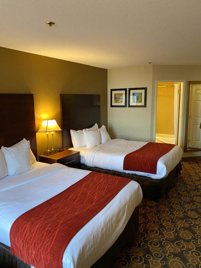 Comfort Inn Rockland - Boston Exterior foto